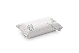 Textilhome - Almohada Viaje Viscoelástica - 43x24 cm - Tejido Ecológico Aloe Vera, núcleo de Visco Puro 100% Natural - Incluye Petate Enrollable.