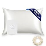 ALASKA BEAR - Funda de Almohada de Seda Natural, hipoalergénico, 19 Momme, 600 Hilos 100% de Seda, tamaño Queen con Cremallera Oculta, 50x75 cm,1 Unidad, Marfil