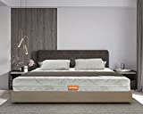 Marcapiuma - Colchón viscoelástico Individual 80x190 alto 21 cm RAINBOW H2 Medio 5 zonas Ergonómico Memory Antiácaros Antialérgico Funda Aloe desenfundable 100% Fabricado en Italia