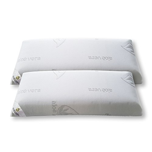 SEASONS - Pack 2 Almohadas Viscoelásticas 70 cm, Antiácaros y Antibacterias, Tejido con Hilo de Plata y Aloe Vera, Doble Funda, Tratamiento con Limpieza de Ozono, Fabricado en España