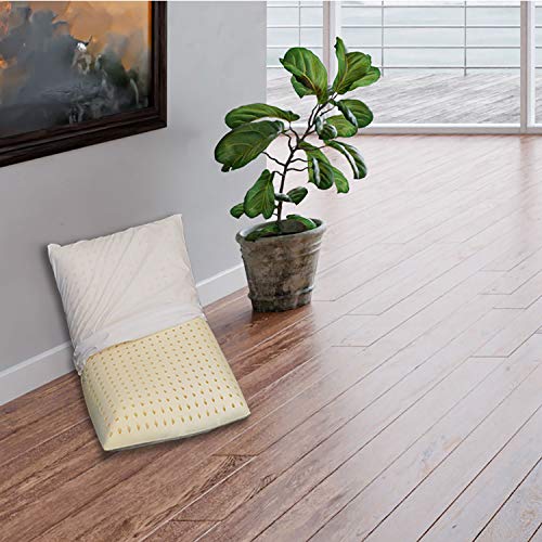 Sleepys Par de almohadas de látex natural, 74 x 42 x 10 cm, jabón perforado con funda de jersey 100 % algodón – Almohada látex Talalay hipoalergénica