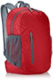 Amazon Basics - Mochila Ligera Plegable