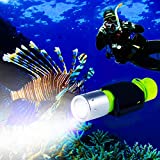 BlueFire Linterna de Buceo, XM-L2 luz LED Submarinismo Buceo Linterna, 1100 Lúmenes Linterna Led Impermeable de Seguridad para Exteriores en Deportes