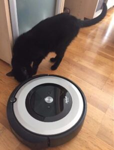 Opiniones sobre el iRobot Roomba e51540